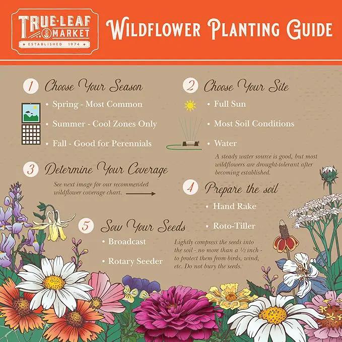Wildflower Seeds - Rocky Mountain Mix, 2 oz (80,000+ Seeds) – 18 Non-GMO Varieties – Bulk Pollinator-Friendly Blend for Planting by GreenHaven Gardens