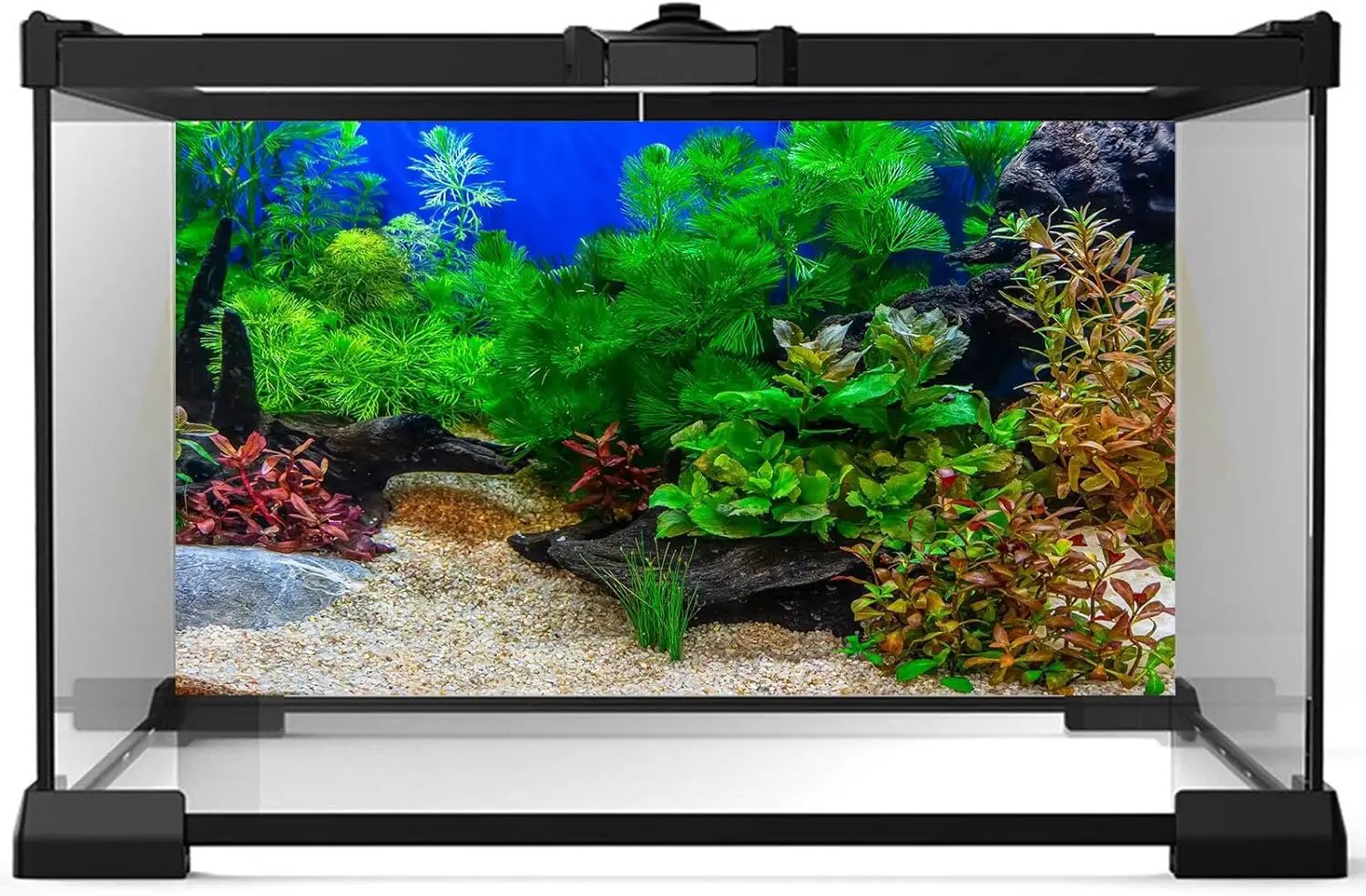 Aquarium Background Underwater Grass Leaves with Pebble Aquarium Backdrop Vivid and Fresh Green Aquatic Plant Stone River Bed and Lake Fish Deadwood Tank Background Decor Vinyl 72x16in by GreenHaven Gardens