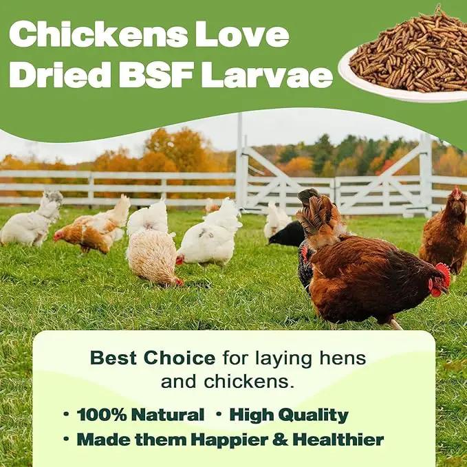 20LB Dried Black Soldier Fly Larvae, 86X Calcium Than Dried Mealworms, High Protein Non-GMO Organic Chicken Feed by GreenHaven Gardens