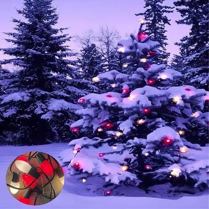 25FT C9 Christmas Lights Outdoor,Red and White C9 Christmas Lights with 26 Ceramic Bulbs(1 Spare), Connectable Incandescent Christmas Lights for Indoor Outdoor Party Home Decor,Green Wire by GreenHaven Gardens