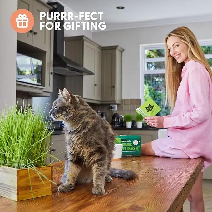 The Cat Ladies Cat Grass Kit (Organic) with Rustic Wood Planter, Seed and Soil. Easy to Grow for Indoor or Outdoor Cats, Dogs and Other Pets. Prevent Hairballs and Aid Digestion by GreenHaven Gardens