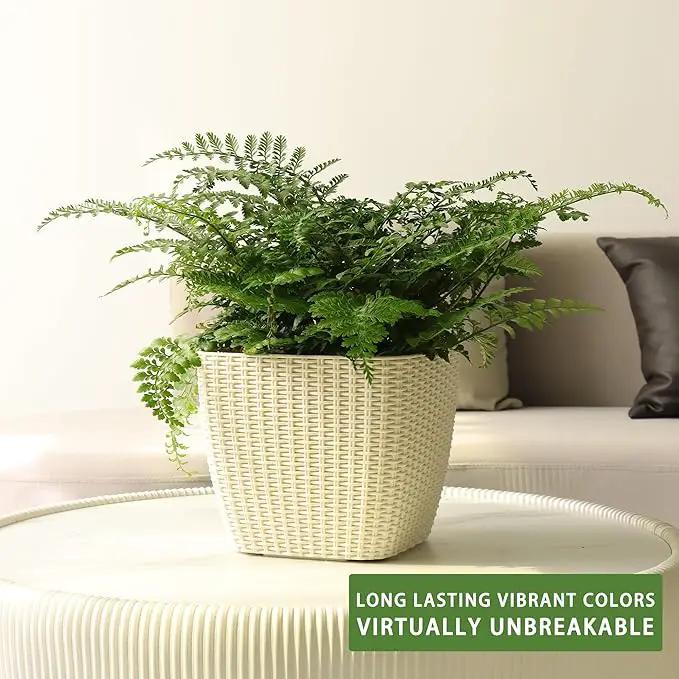 Dexceder 11x10 Self Watering Planter Indoor Outdoor, Inner Mat Design, Thickened Table Flower Plant Pot with Water Level Indicator (Ivory White Rattan) by GreenHaven Gardens