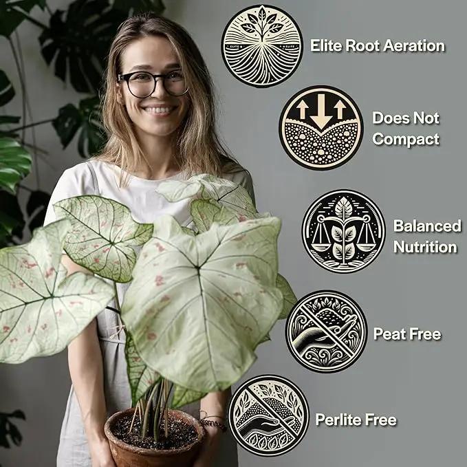 Craft Aroid Potting Mix- Elite Alocasia, Philodendron, Monstera Soil Mix, Chunky, Well Draining Potting Soil for Indoor Plants, All Tropical Plants & Houseplants, Synthetic & Peat Free 8QT by GreenHaven Gardens