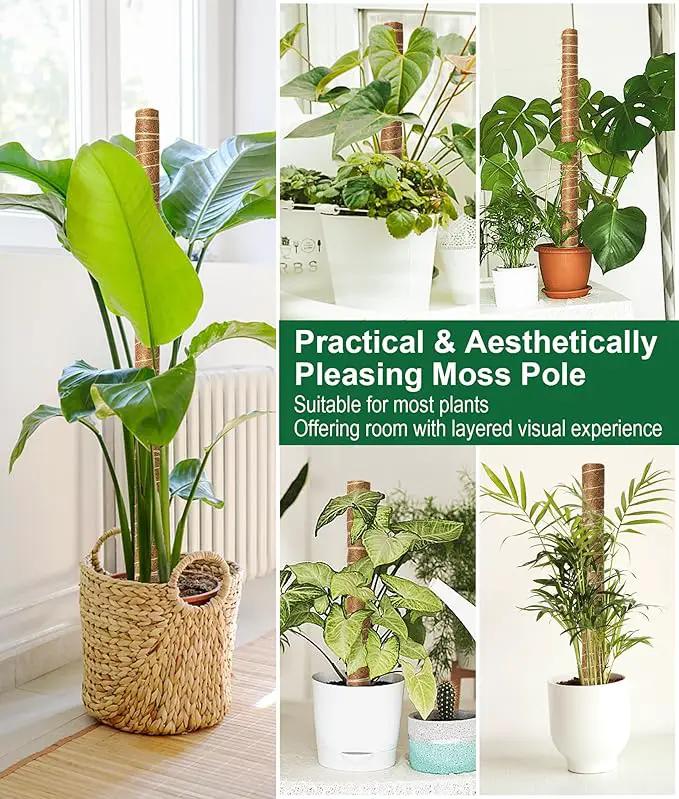 EAONE Moss Pole 168 Inch, 8 Pack 21" Monstera Plant Support for Climbing Potted Live Plants Indoor, Stackable Coco Coir Moss Sticks Monstera Stakes for Pothos Philodendron, with Garden Labels & Ties by GreenHaven Gardens