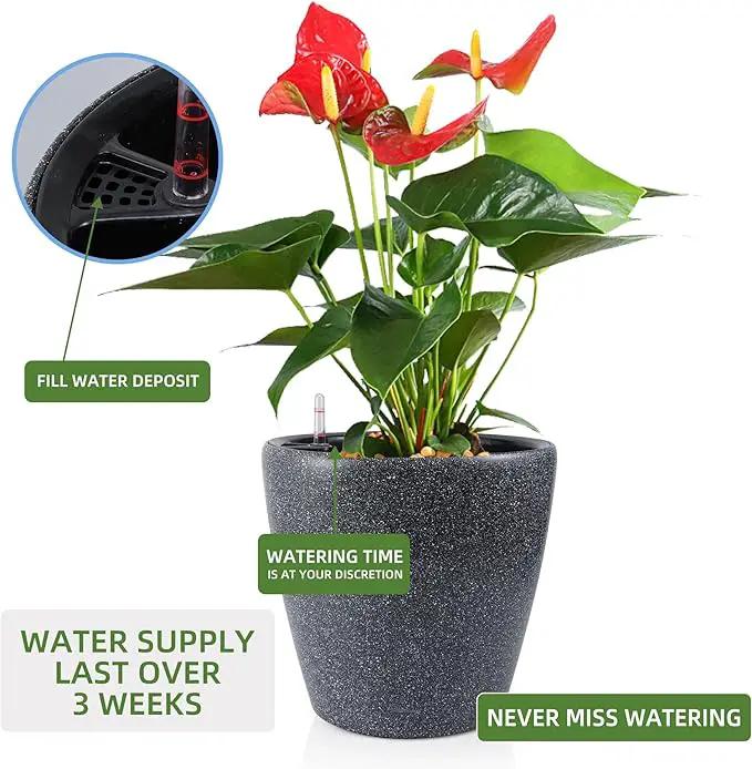 Dexceder 13x12 Self Watering Planter with Wheels Indoor Outdoor, Inner Pot Design, Thickened Large Floor Standing Flower Plant Pot with Water Level Indicator (Stone Matte) by GreenHaven Gardens