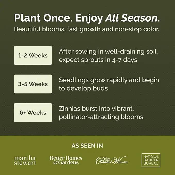 Eden Brothers Zin Master Flower Mixed Seeds for Planting, 5 lb, 2,400,000+ Seeds with California Giant, Mexican, Lilliput Zinnia | Attracts Pollinators, Plant in Spring, Zones 3, 4, 5, 6, 7, 8, 9, 10 by GreenHaven Gardens