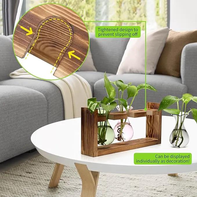 Plant Propagation Station Plant Terrarium Unique Birthday Gifts for Women Plant Lovers Home Office Decor Planter with Wooden Stand - 3 Bulb Glass Vase by GreenHaven Gardens