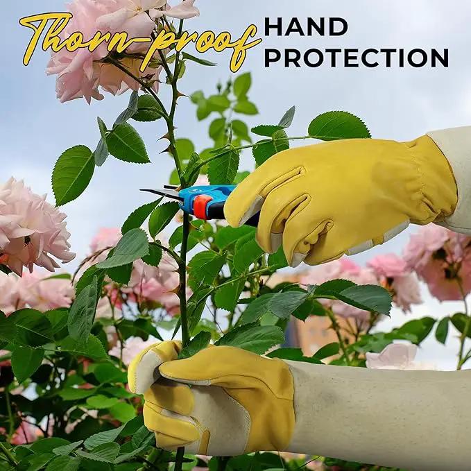 HANDLANDY Rose Pruning Gardening Gloves for Men Women, Thorn Proof Forearm Protection Leather Garden Gloves, Gardening Gifts for Gardeners (Yellow- goatskin, Medium (Pack of 1)) by GreenHaven Gardens