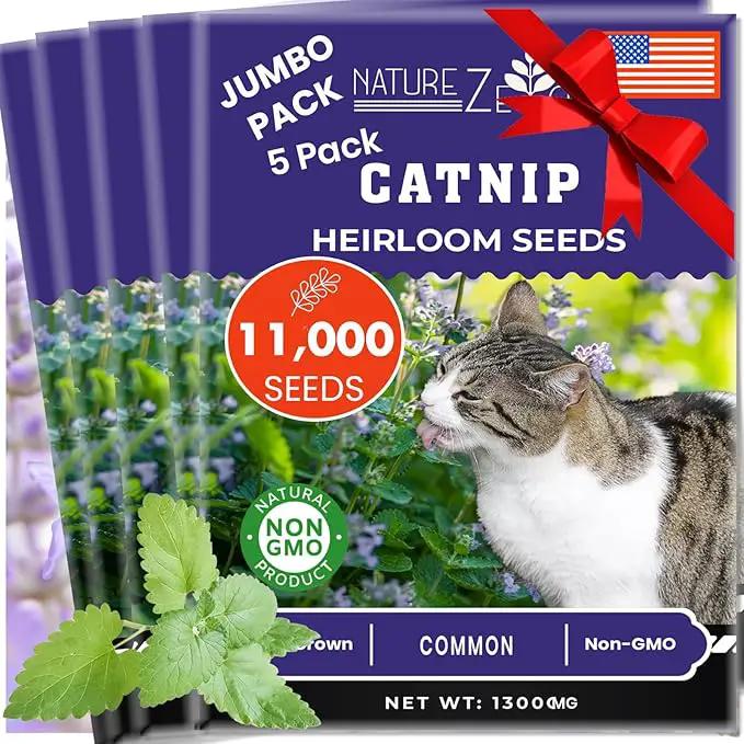 NatureZ Edge Catnip Seeds for Planting, 6.5 Grams, 11,000+ Herb Seeds, Indoor or Outdoor Growing, Your Cat Will Love Them, Non-GMO by GreenHaven Gardens