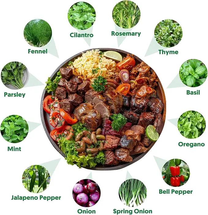12 Varieties of Seasoning Seeds for Planting, Family Culinary Spice Herb & Veggie Seeds Packet, Basil, Rosemary, Thyme, Cilantro, Pepper, Mint, Non-GMO, Heirloom, for Home Garden Indoor Outdoor by GreenHaven Gardens