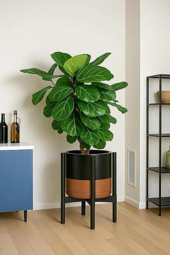 D'vine Dev Ceramic Planter with Ebony Stand - 12 Inch Modern Round Flower Pot with Wood Planter Holder, Black/Speckled Tan, 55-B-H-7