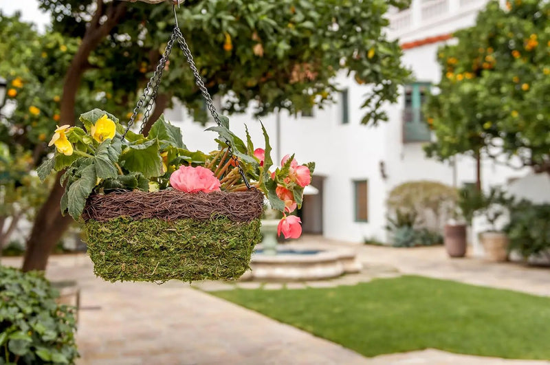 SuperMoss (29327 MossWeave Hanging Basket | Outdoor Hanging Planter with Moss | Decorative Plant Hanger for Porch, Balcony, Garden & Home Décor, Square with Wicker Rim, Set of 3 (S/M/L), Green by GreenHaven Gardens