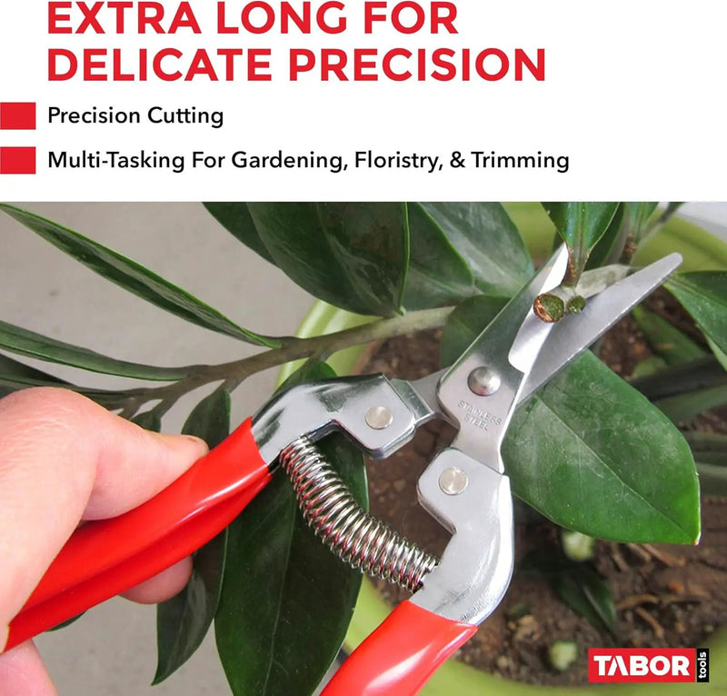 TABOR TOOLS Pruning Shears, Florist Scissors, Multi-Tasking Garden Snips for Arranging Flowers, Trimming Plants and Harvesting Herbs, Fruits or Vegetables. K17A. (Straight, Stainless Steel Blades) by GreenHaven Gardens