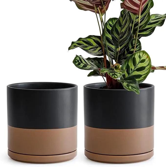 D'vine Dev Set of 2 Plants Pots, 8 Inch Ceramic Planter Pot for Plants with Drainage Hole and Saucer, Black/Speckled Tan, 94-V-D-7 by GreenHaven Gardens