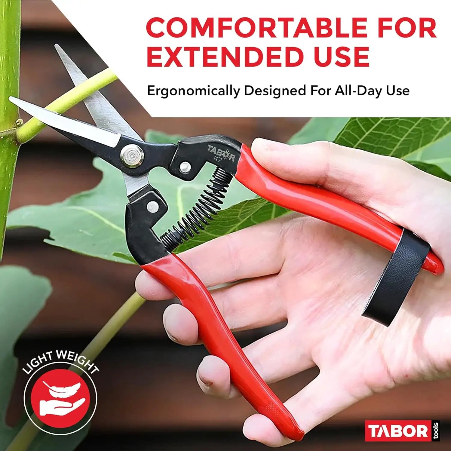 TABOR TOOLS K7A Straight Pruning Shears with Carbon Steel Blades, Florist Scissors, Multi-Tasking Garden Snips for Arranging Flowers, Trimming Plants and Harvesting Herbs, Fruits or Vegetables. by GreenHaven Gardens