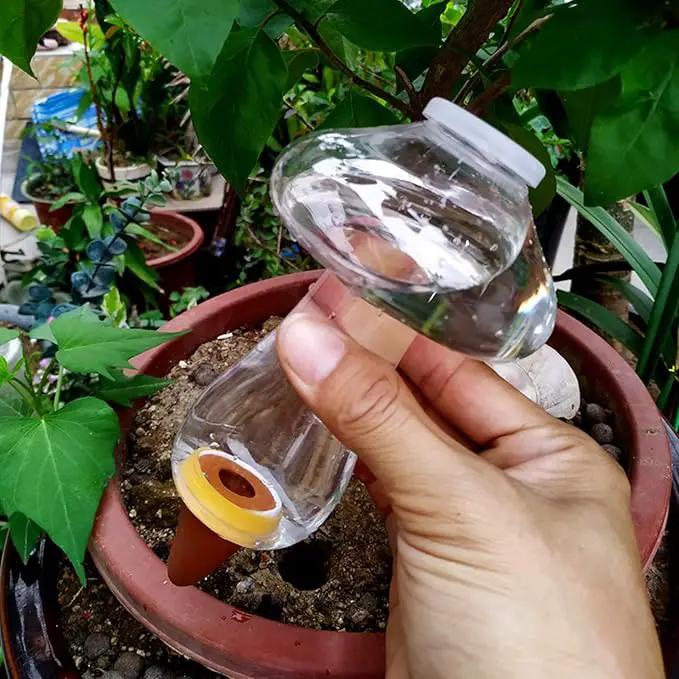 Mushroom Shape Self Watering Spikes, Plant Watering Bulbs Drip Irrigation System Devices for Indoor and Outdoor Plants by GreenHaven Gardens