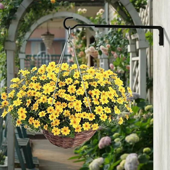 8 Inch 2 Pack Black Heavy Duty Outdoor Plant Hangers for Hanging Baskets, Iron Hanging Plant Brackets for Hanging Plants Outside, Metal Plant Hooks Plant Wall Hooks for Hanging Lantern, Bird Feeder by GreenHaven Gardens