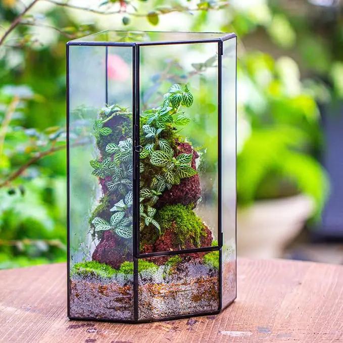 NCYP Wall Corner Geometric Glass Terrarium, Closed Front Opening Door Container Planter for Succulents, Small Plants - Black, Indoor Decor, Tabletop Landscape, 6.1" x 6.1" x 11.8" (Terrarium Only) by GreenHaven Gardens