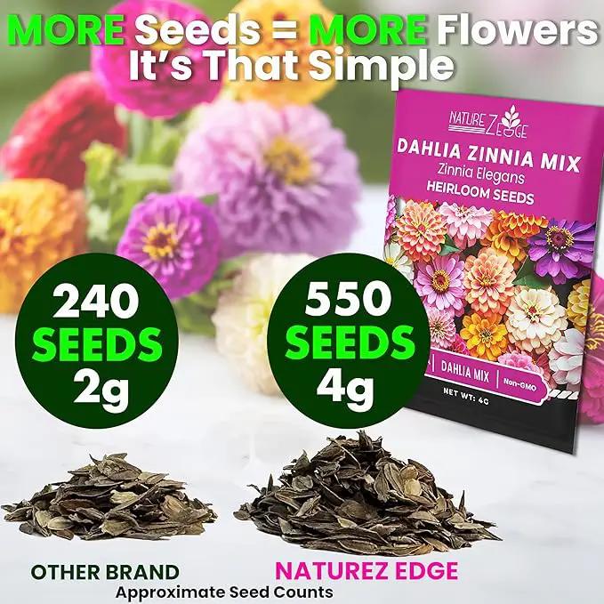 NatureZ Edge Zinnia Seeds for 2025 Planting Outdoors, Over 550 Flower Seeds, 4g, Non GMO Made in USA, Bulk Semillas De Flores para Sembrar, Dahlia Mix, Easy to Grow Zinnia Seed Mix by GreenHaven Gardens