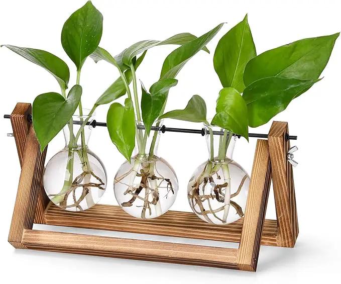 YIBOT Plants Propagation Stations,Desk Plant Terrarium with Retro Wooden Stand,Plant Lover Gifts for Women for Hydroponics Plants Home Garden Wedding Decor(3 Bulb Vase) by GreenHaven Gardens