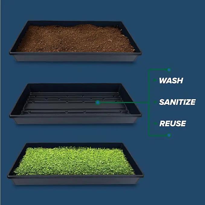 10 Plant Growing Trays (No Drain Holes) - 20" x 10" - Perfect Garden Seed Starter Grow Trays: for Seedlings, Indoor Gardening, Growing Microgreens, Wheatgrass & More - Soil or Hydroponic by GreenHaven Gardens
