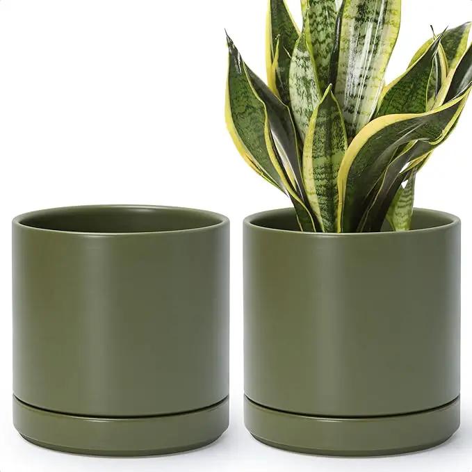 D'vine Dev Set of 2 Plants Pots, 6.5 Inch Ceramic Planter Pot for Plants with Drainage Hole and Saucer, Olive, 94-V-C-J by GreenHaven Gardens