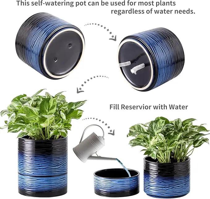 Nihow Self Watering Plant Pot: 6 Inch Ceramic Planter with Drainage Hole & Water Storage Plus for Indoor & Outdoor Plants - Cylinder Round Flower Pot for Succulent/Herbs/Violets - Black & Vivid Blue by GreenHaven Gardens