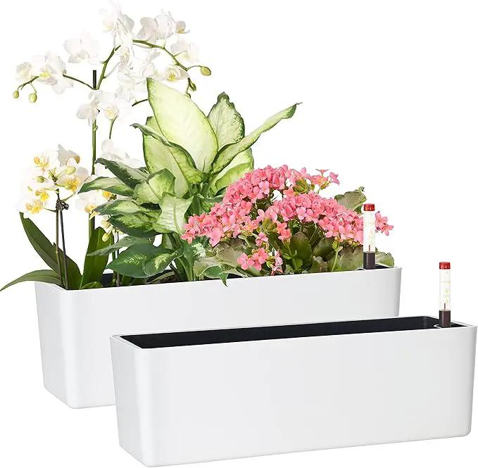 GardenBasix Elongated Self Watering Planter Pots 2-Pack Window Box 5.5 x 16 inch Indoor Home Garden Modern Decorative Planter Pot for All House Plants Flowers Herbs (White,2) by GreenHaven Gardens