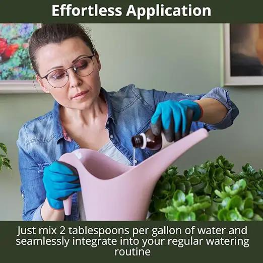 3-1-2 African Violet Fertilizer for Indoor Plants: Liquid Fertilizer with Essential Micronutrients Drops - Plant Food for African Violets (32 OZ) by GreenHaven Gardens