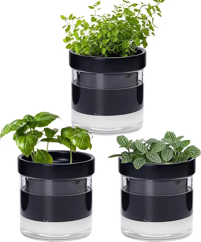Phoenix Vine 4 Inch Self Watering Planter Pot, Black Terracotta Clay Pot with Glass Reservoir for Indoor Plants, Herbs, Flowers, Set of 3, 52-C-E-3 by GreenHaven Gardens