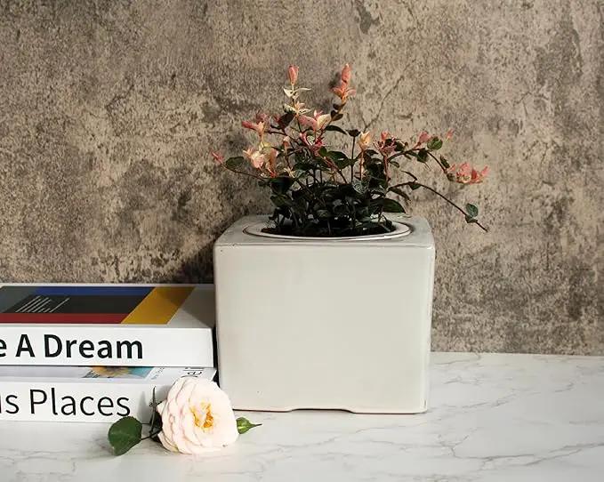 Ceramic African Violet Self Watering Pot 6 Inch Square Pot 3.5 Inch Innter Pot Easy Fill Water Reservoir White by GreenHaven Gardens