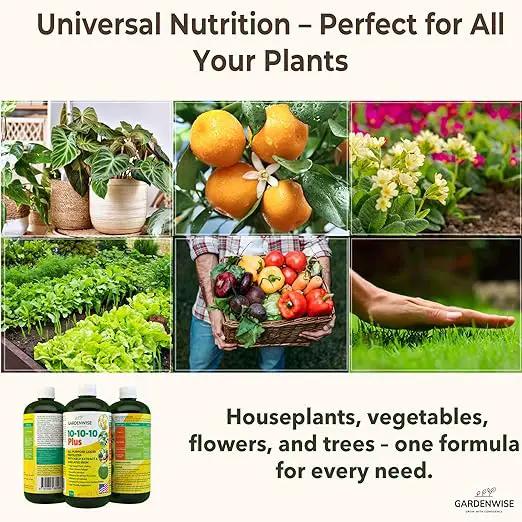 10-10-10 Fertilizer for All Purpose Plants - Liquid Fertilizer with Seaweed Kelp & Iron - Plant Food Outdoor & Indoor Plant Food, Vegetables, Flowers, Lawn & Garden 10 10 10 Fertilizer 32oz by GreenHaven Gardens