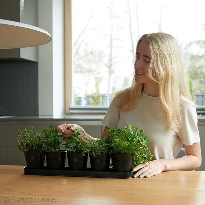SCANDINORDICA Black Herb Planter – 5 Pots with Drainage Holes and Tray, Windowsill Planter, Herb Pots for Indoor Outdoor Plants | Kitchen & Garden Decor by GreenHaven Gardens