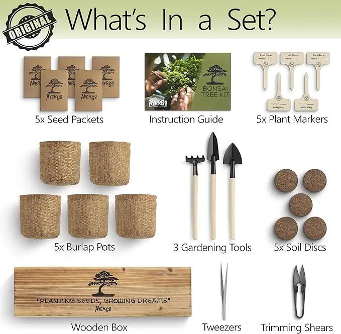 Bonsai Tree Kit – 5X Unique Japanese Bonzai Trees | Complete Indoor Starter Kit for Growing Bonsai Plants with Tools & Planters – Gardening Gifts for Women & Men by GreenHaven Gardens
