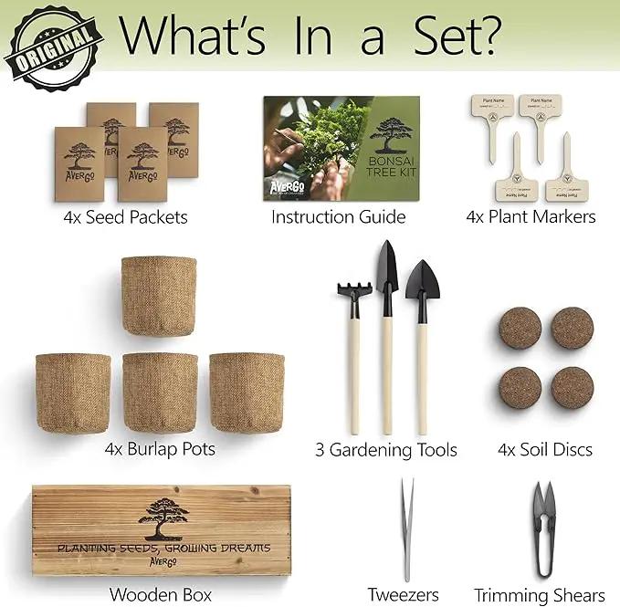 Bonsai Tree Kit – 4X Unique Japanese Bonzai Trees | Complete Indoor Starter Kit for Growing Bonsai Plants with Tools & Planters – Gardening Gifts for Women & Men by GreenHaven Gardens