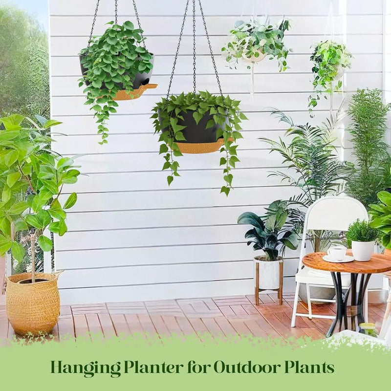 10 Inch Hanging Planters with Chains 2 Pack Self Watering Black Brown Plastic Hanging Pots for Indoor Outdoor Plants, Garden Porch Home Decor (Black Brown) by GreenHaven Gardens