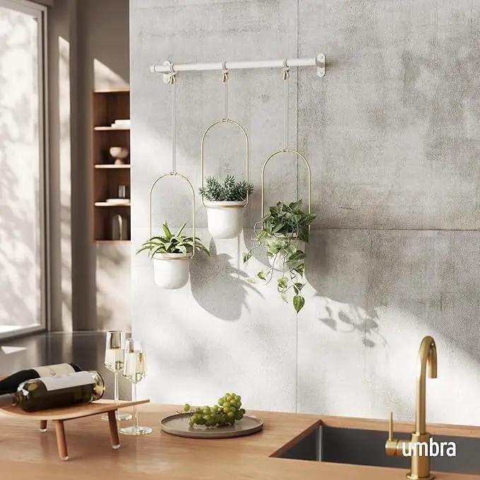 Umbra Triflora Hanging Planter for Window, Indoor Herb Garden, Set of 3, White/Brass by GreenHaven Gardens