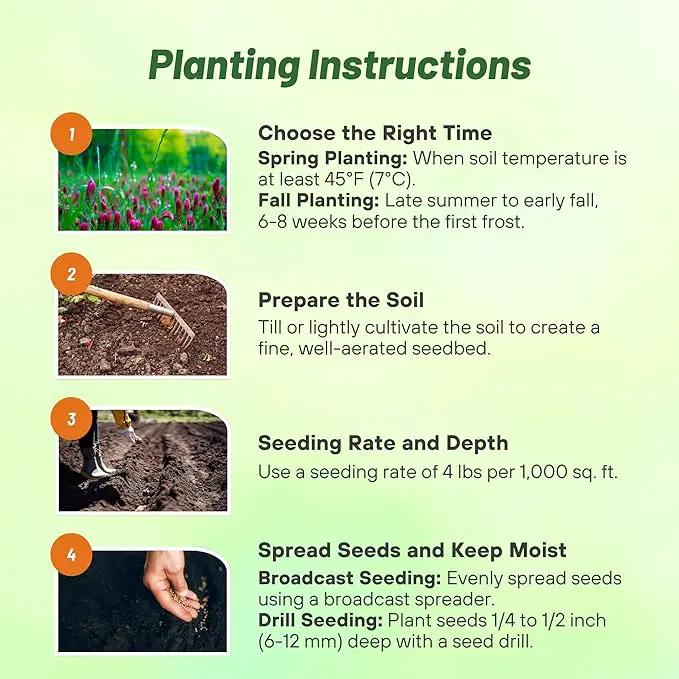 Outsidepride Gardenway Cover Crop Seeds - 5 lbs Nutrient-Rich Seed Mix for Soil Health Improvement & Home Gardens - Mixture of Triticale, Peas, Oats, Vetch, Annual Ryegrass, Crimson Clover by GreenHaven Gardens