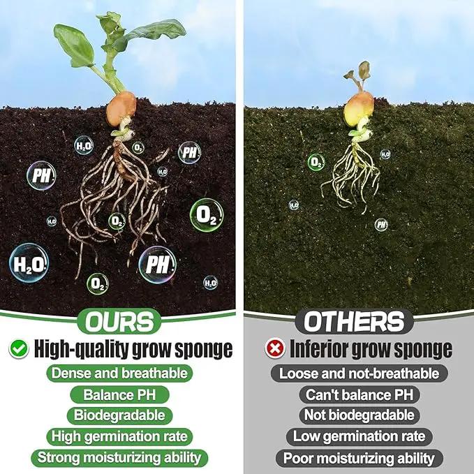 50pcs Hydroponic Grow Sponges for Aerogarden - Seed Sprout Pods Kit with Plant Food, Compatible with Most Indoor Hydroponics Plants Growing System by GreenHaven Gardens