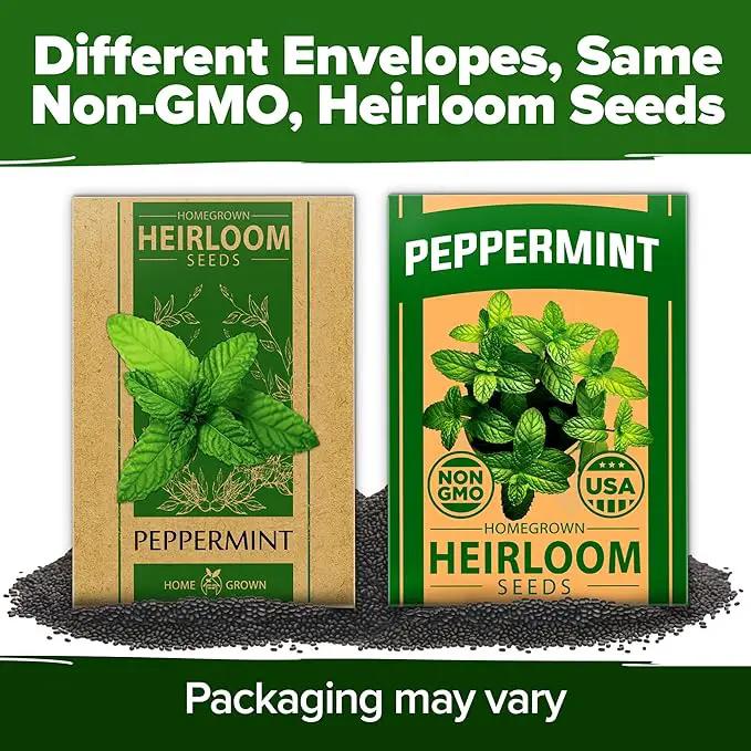 HOME GROWN Peppermint Seeds 2 Pack (Mentha × piperita) – 4,740 Heirloom Mint Seeds for Planting – 𝗡𝗢𝗡-𝗚𝗠𝗢, 𝗨𝗦𝗔-𝗦𝗢𝗨𝗥𝗖𝗘𝗗 – Grow Indoors or Outdoors, Kitchen Herb Garden Favorite by GreenHaven Gardens