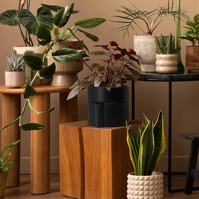 Phoenix Vine 8 Inch Self-Watering Planter Pot with Terracotta Insert, Deep Water Reservoir, and Ceramic-Alike BPA-Free Plastic Planter Pot for Plant, Modern Planter for Houseplants, Black, 53-A-T-2 by GreenHaven Gardens