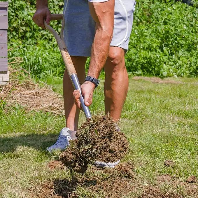 Berry&Bird Shovels for Digging, 43’’ Round Spade Heavy Duty Shovel with Wooden D Handle Stainless Steel Snow Shovel Garden Shovel Yard for Transplanting & Outdoor by GreenHaven Gardens