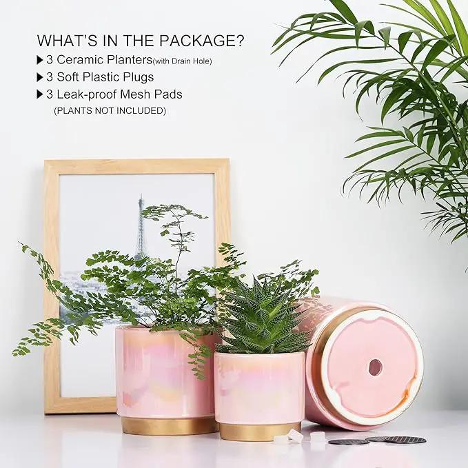 Gepege Pink Indoor Plant Pots for Plants, Ceramic Planter with Drainage Hole, 6.0 inch+5.0 Inch+4.0 Inch. Succulent Orchid Flower Pot - Rainbow Pearl Glaze by GreenHaven Gardens