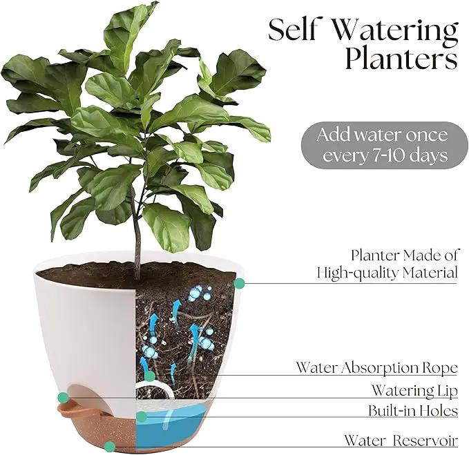 Plant Pots 12/10/9 inch Set of 3, Self Watering Flower Pots Indoor Outdoor, Planters with Drainage Hole Saucer Reservoir, White by GreenHaven Gardens