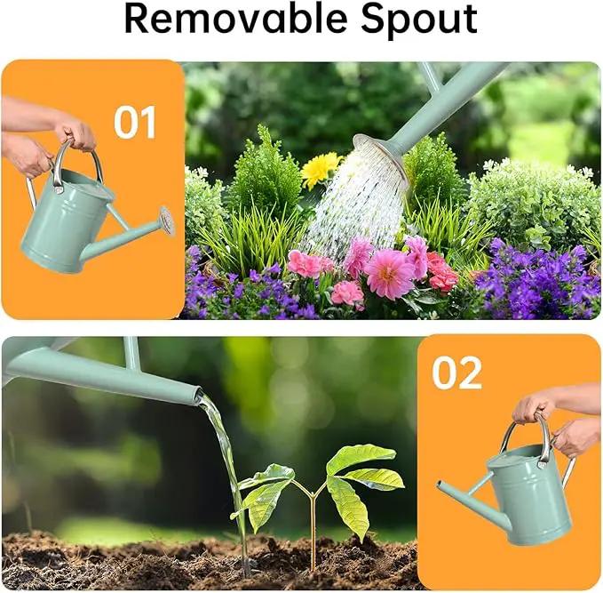 Metal Watering Can for Outdoor Plants, Galvanized Steel Watering Can with Removable spout, 1 Gallon,Perfect Home & Garden Décor Cream Green by GreenHaven Gardens