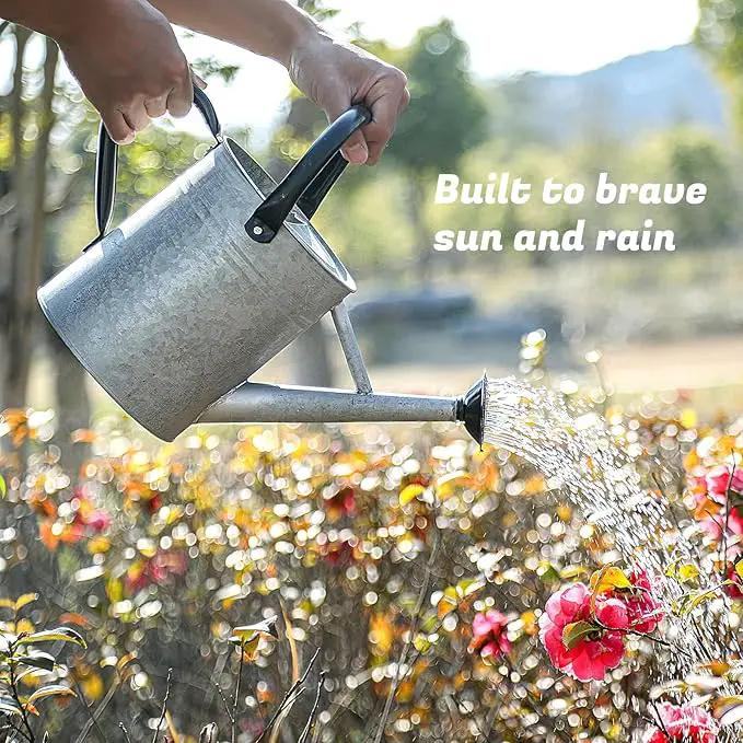 1 Gallon Watering Can for Plants, Watering Cans for Indoor&Outdoor Gardening, Galvanized Steel Watering Pot with Removable Spout, Metal Water Can with Ergonomic Movable Handle(Rustic Silver) by GreenHaven Gardens
