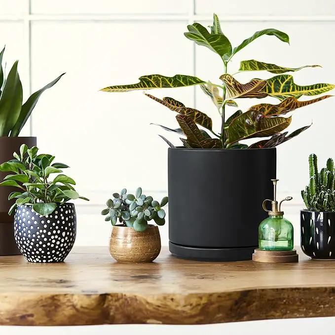 D'vine Dev 8 Inch Ceramic Planter Pot with Drainage Hole and Saucer, Indoor Cylinder Round Planter Pot, Black, 94-O-D-2 by GreenHaven Gardens