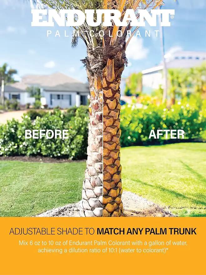 Endurant Palm Colorant – Non-Toxic Palm Tree Protector - Enhances Natural Beauty - Prevents Sunscald & Bark Damage -Easy Annual Application - Vibrant Long-Lasting Trunk Care - 32 oz by GreenHaven Gardens