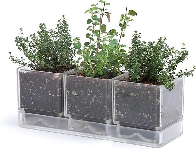D'vine Dev Herb Garden Planter Set, Plastic Plant Pots with Drainage and Saucer, Indoor Succulent Cactus Vegetable Pot for Windowsill, Garden Balcony, Clear, Set of 1, 76-V-D-1 by GreenHaven Gardens