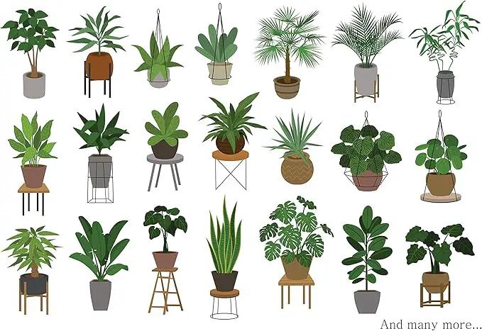 Indoor Plant Food | All-purpose House Plant Fertilizer | Liquid Common Houseplant Fertilizers for Potted Planting Soil | by Aquatic Arts by GreenHaven Gardens